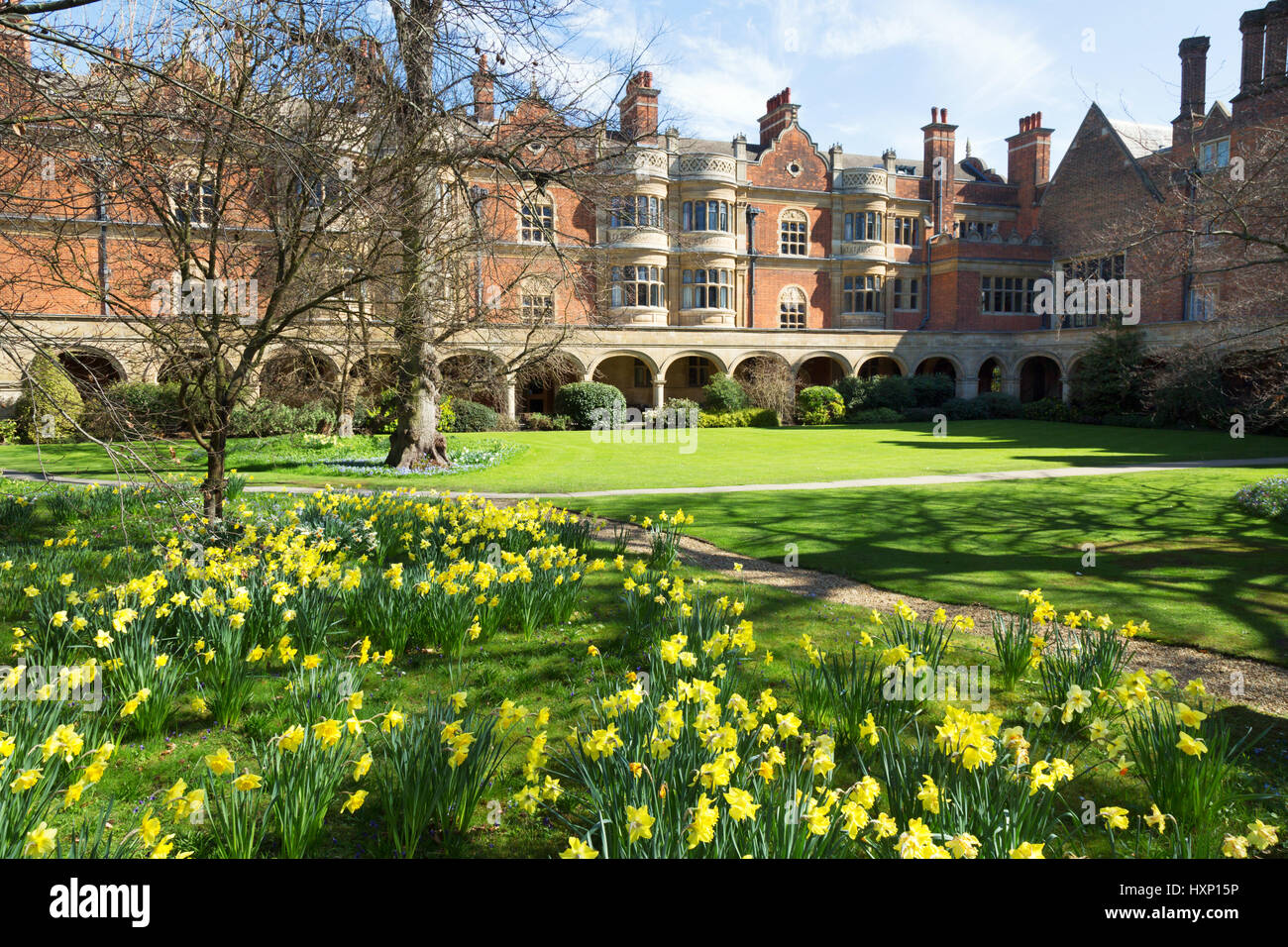 Cambridge University college - Cloister Court, Sidney Sussex college, Cambridge Spring, Cambridge England, Cambridge UK Stock Photo