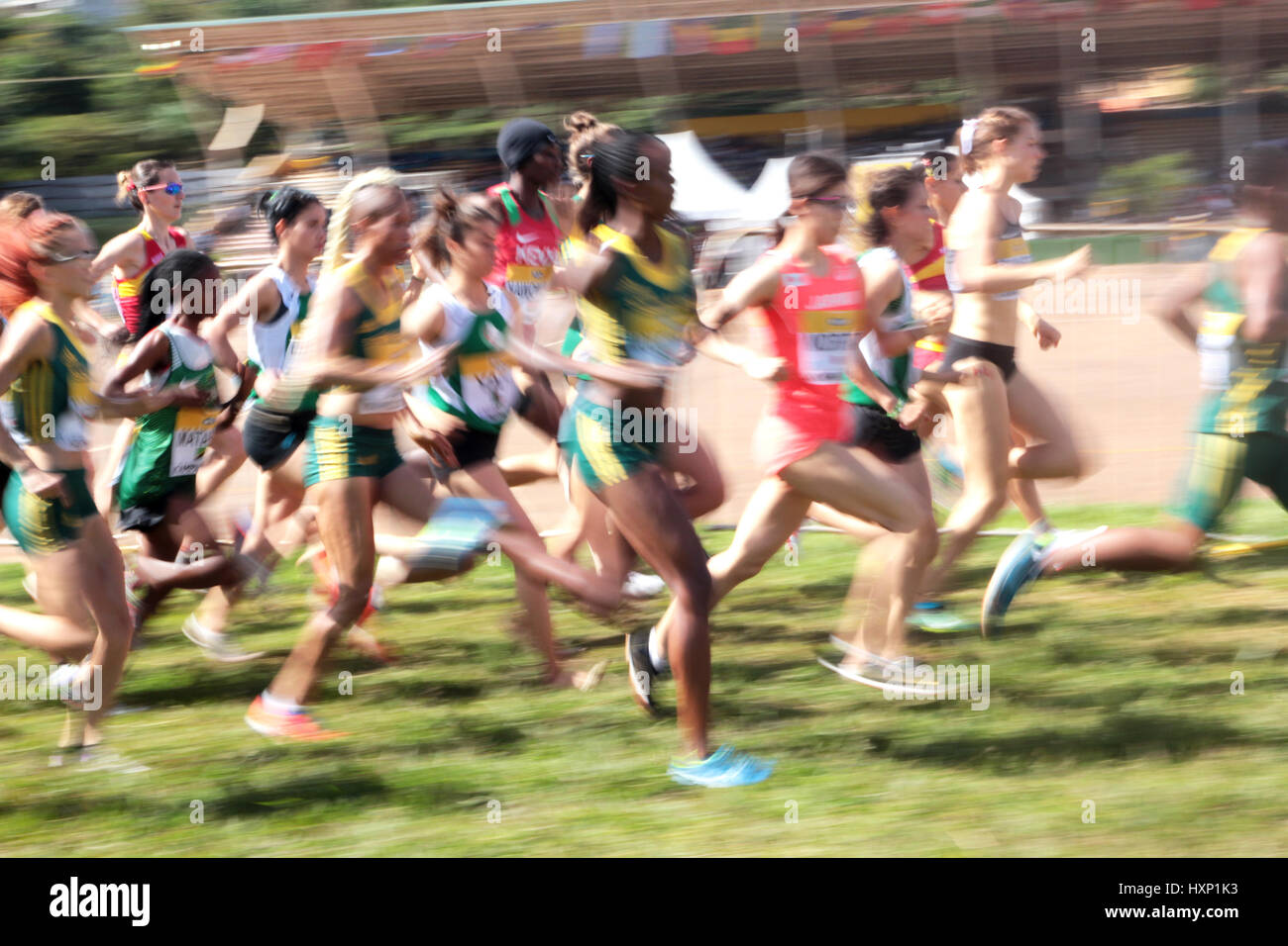 Athletes battle it out during the IAAF World Cross Country