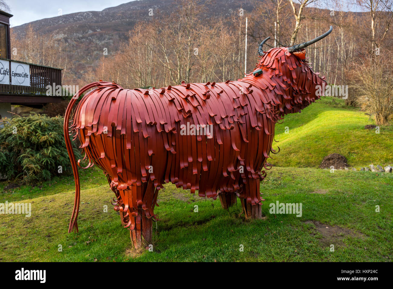'Fergus the Hairy Coo', a sculpture by Kev Paxton, at the Ralia Cafe, near Newtonmore., Highland Region, Scotland, UK Stock Photo