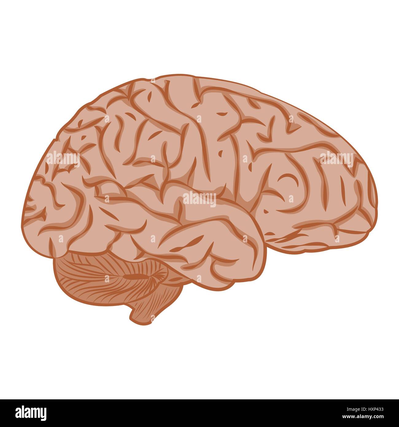 Medicine icon brain Stock Vector Image & Art - Alamy