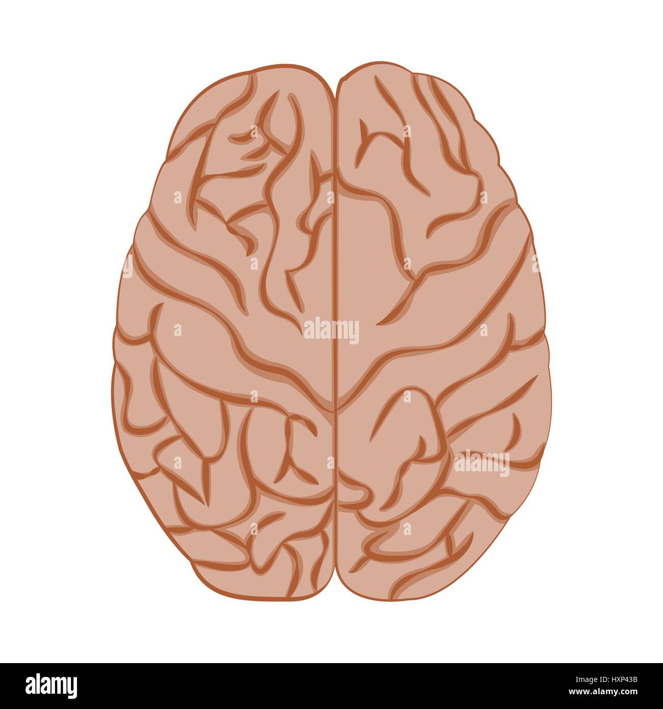 Medicine icon brain. Stock Vector