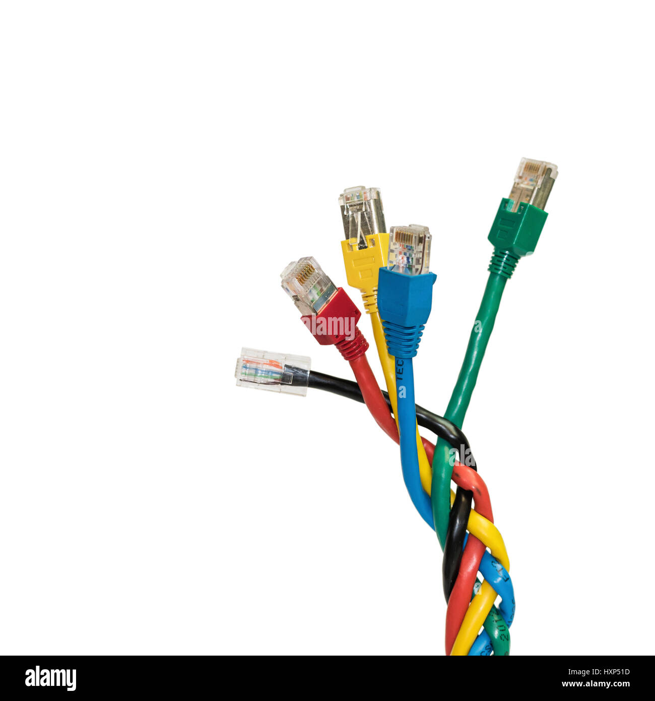 Multi colored ethernet cables on a white background. Network equipment ...