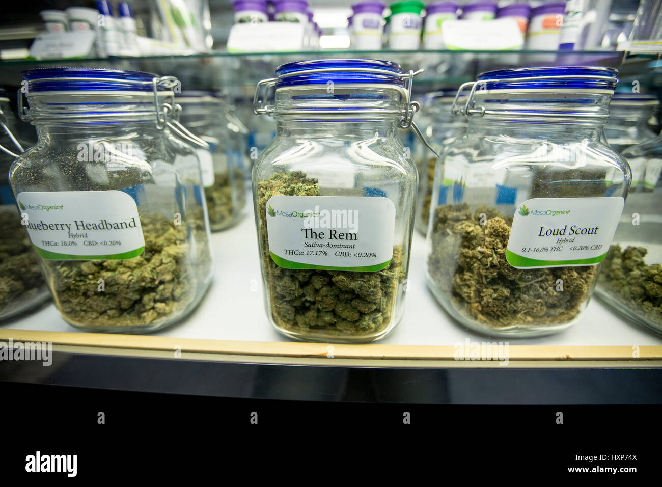Glass jars full of marijuana buds on display and for sale at a