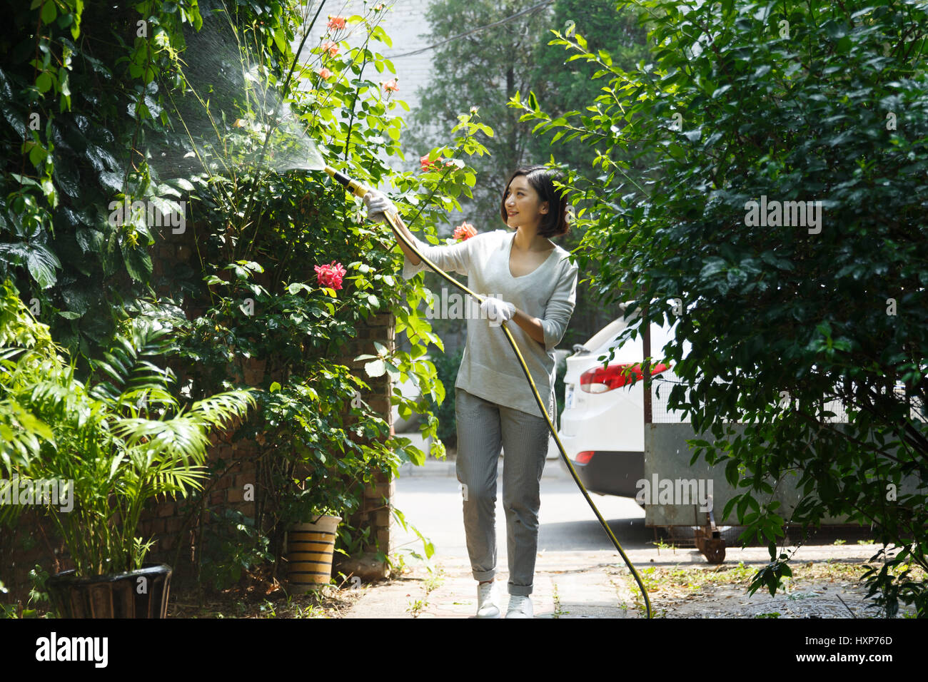 Young couple gardening in backyard Stock Photo - Alamy
