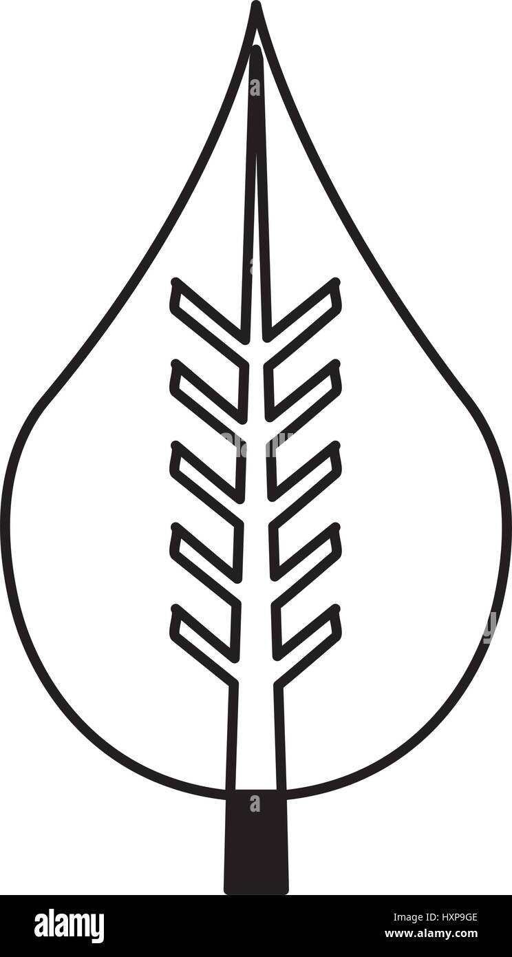 leaf plant ecology symbol vector illustration design Stock Vector Image ...