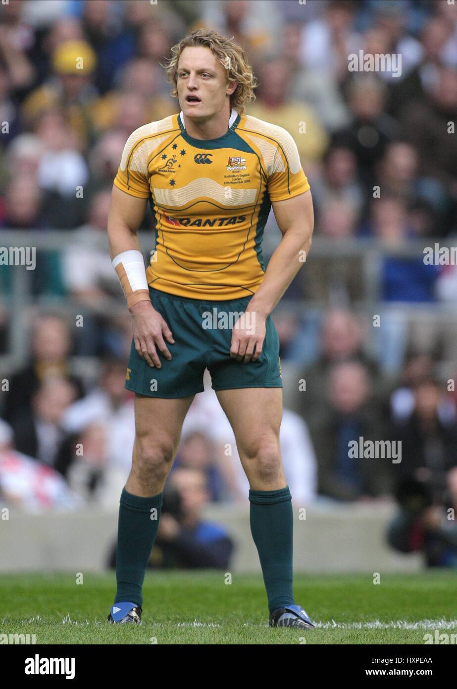 RYAN CROSS AUSTRALIA RU TWICKENHAM MIDDLESEX ENGLAND 15 November 2008 ...