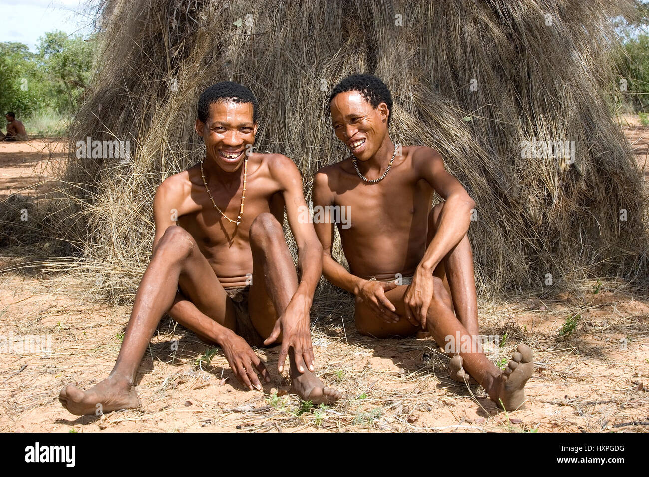 Bushman M?nner sit before her tratitionelen grass-overcast huts. Namibia, Buschmann Männer sitzen vor ihren tratitionelen Grasbedeckten Hütten. Namibi Stock Photo