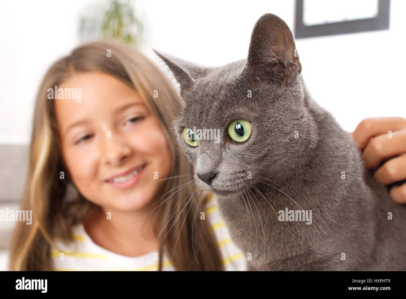 Girls with Russian blue, Mädchen mit Russisch blau Stock Photo