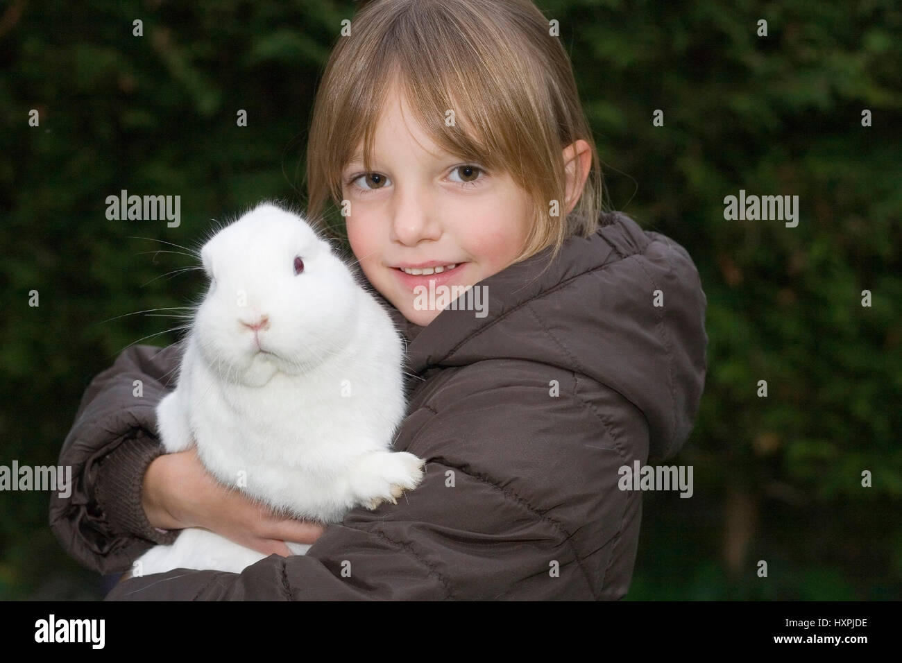 five-year-old girl with an albino's hare (mr), fünfjähriges Mädchen mit einem Albino-Hasen (mr) Stock Photo