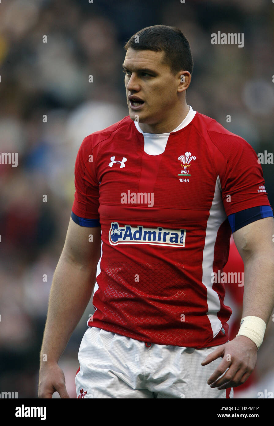 Ian evans ospreys hires stock photography and images Alamy