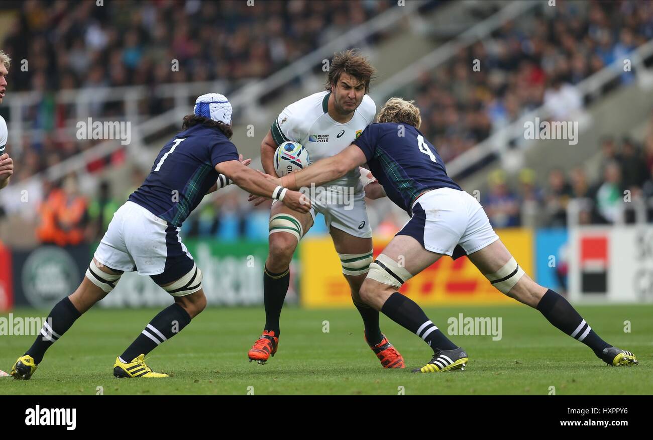 LODEWYK DE JAGER SOUTH AFRICA SOUTH AFRICA ST JAMES PARK NEWCASTLE ENGLAND 03 October 2015 Stock