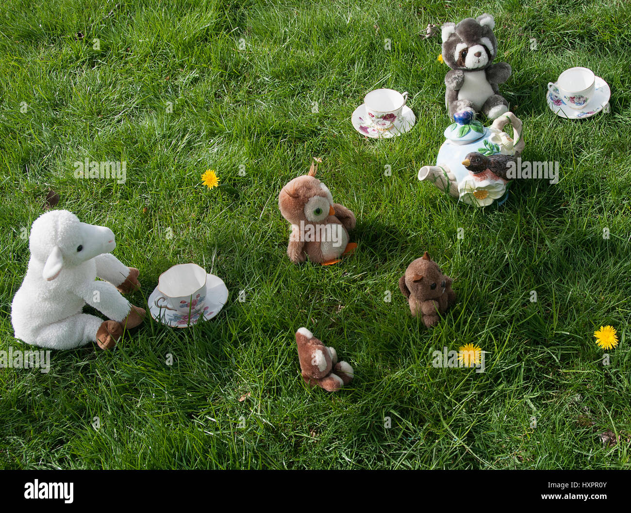A stuffed animal tea party Stock Photo