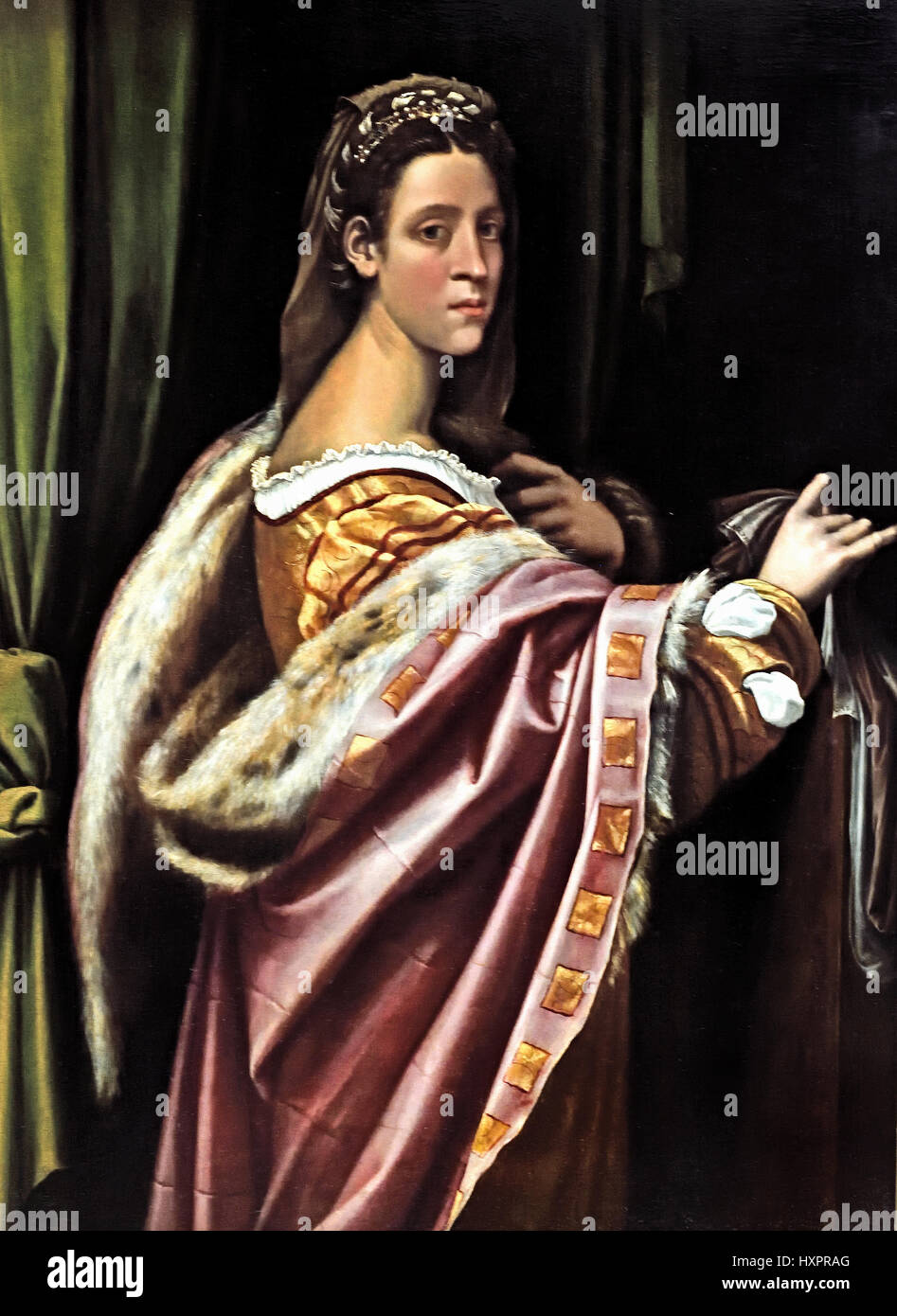 Portrait of a Lady 1520 Sebastiano del Piombo 1485 - 1547 Italy Italian Stock Photo