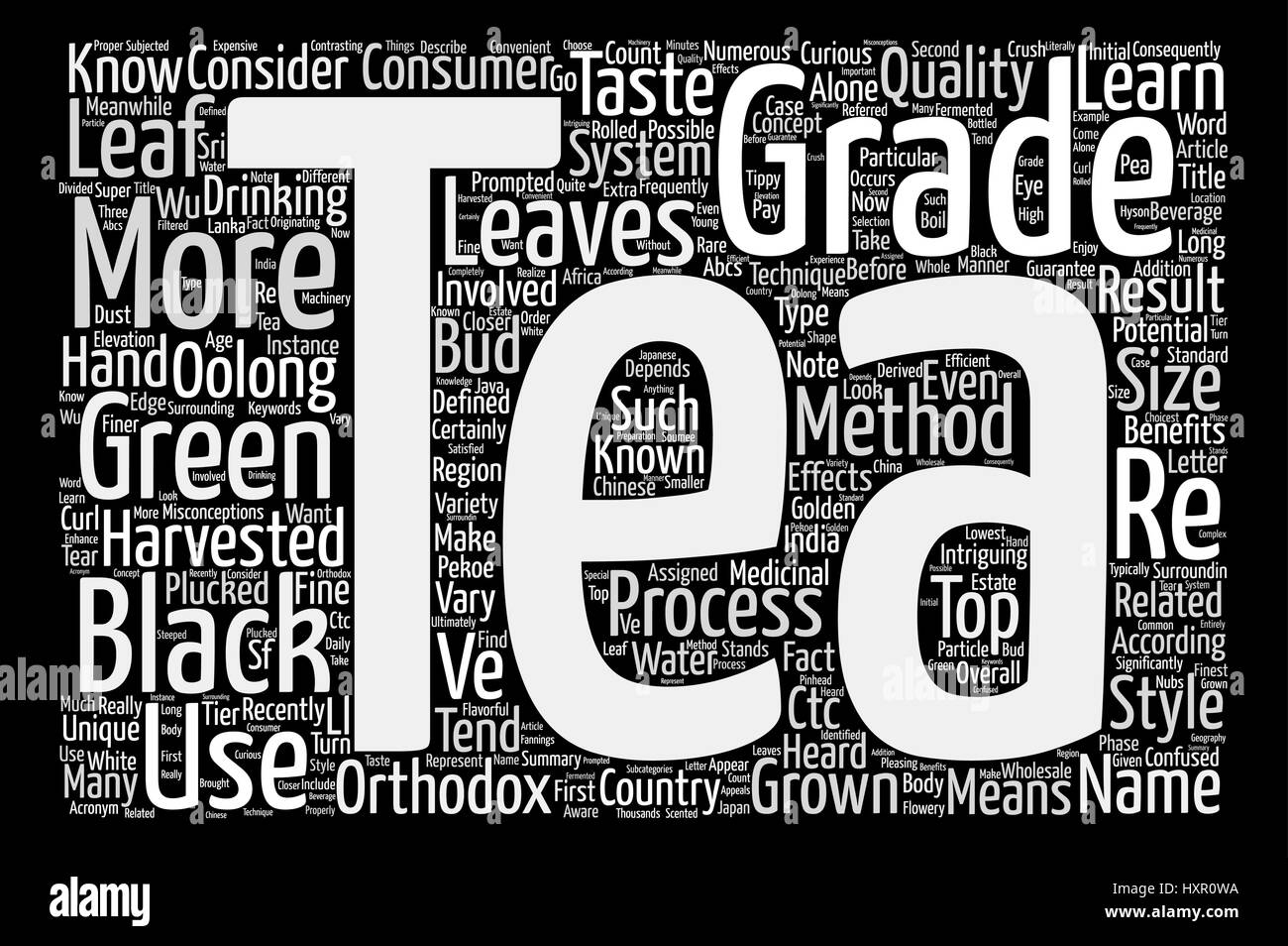 essay meaning of life quotes