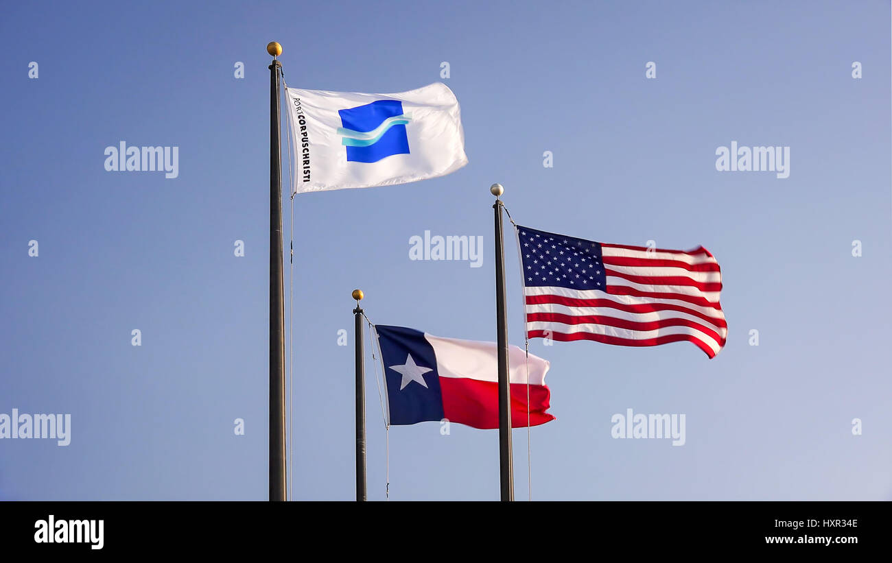 Port Corpus Christi flag flies with American flag and Texas state flag