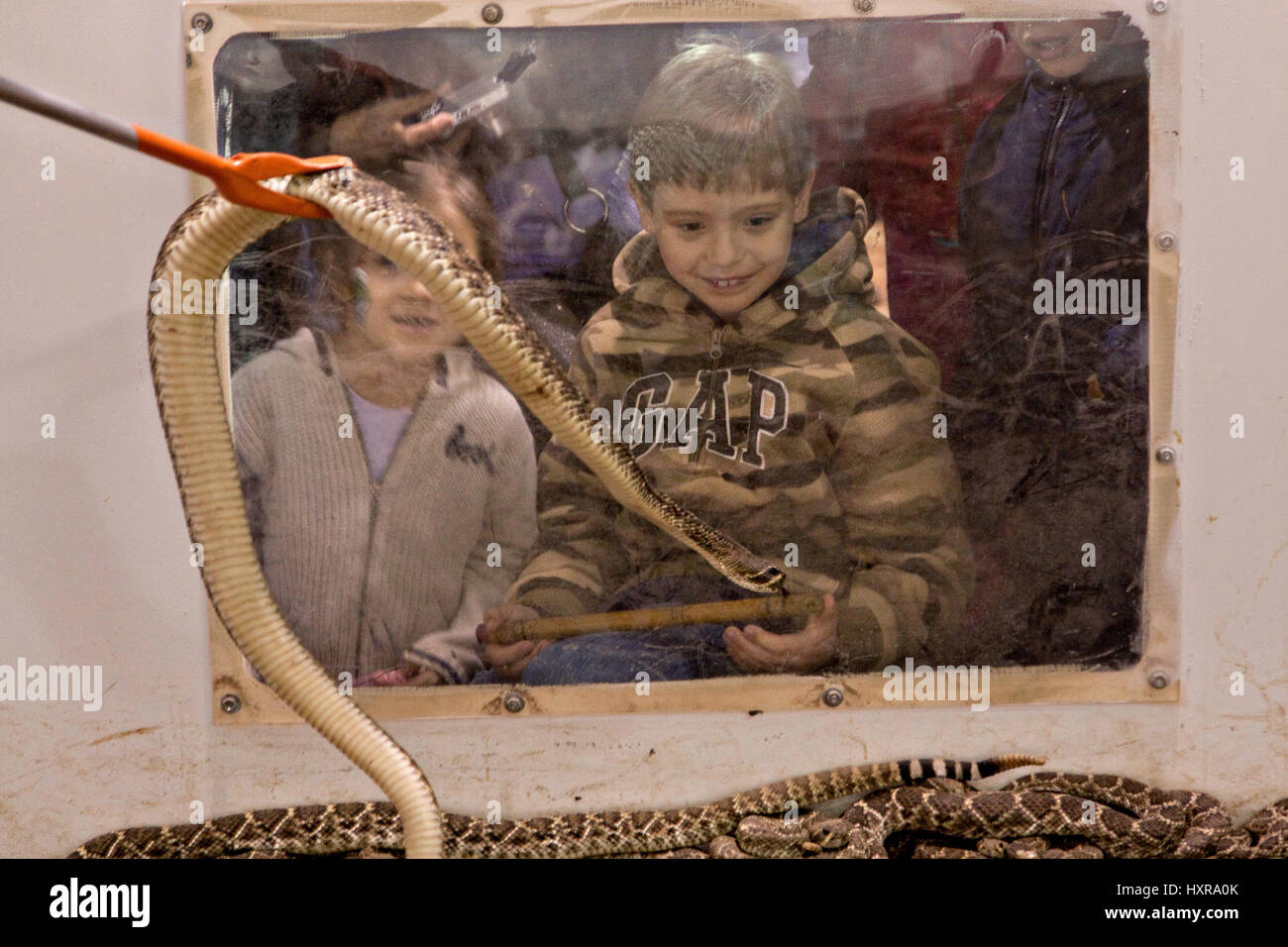 Children Rattler Young children react to a western diamondback rattler during the 51st ...