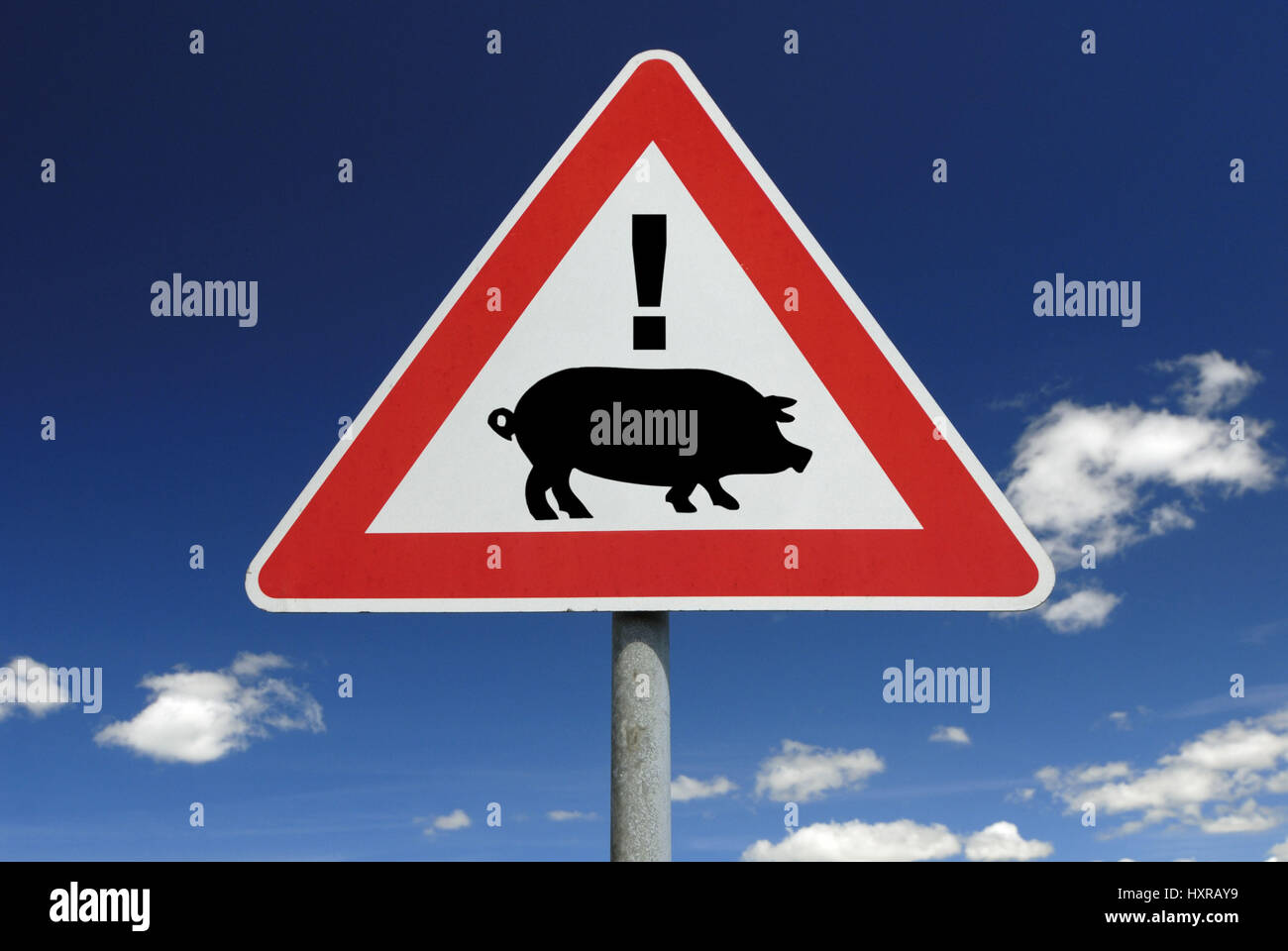 Traffic signs pork influenza (assembly), Verkehrszeichen Schweinegrippe (Montage) Stock Photo