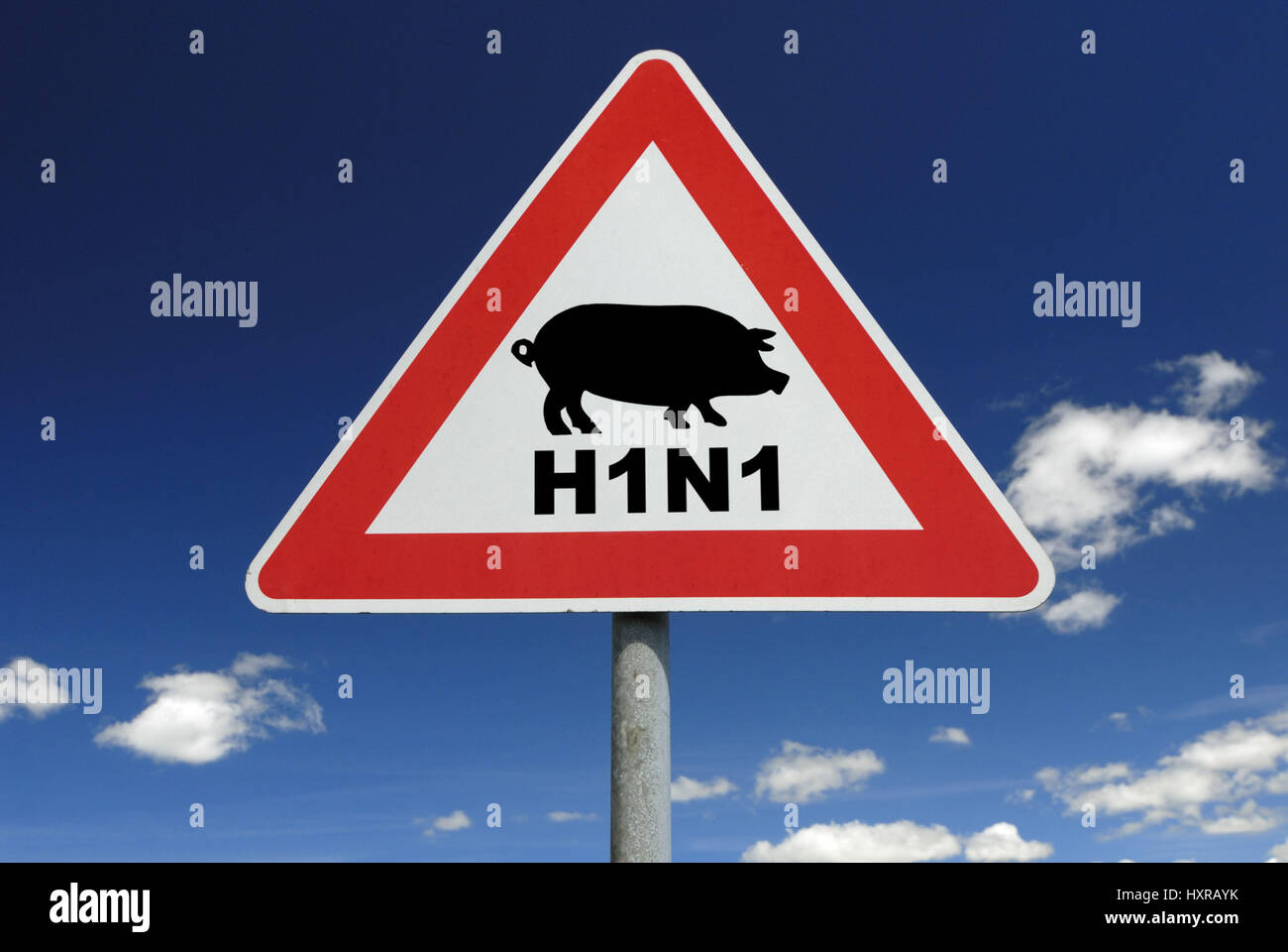 Traffic signs pork influenza (assembly), Verkehrszeichen Schweinegrippe (Montage) Stock Photo