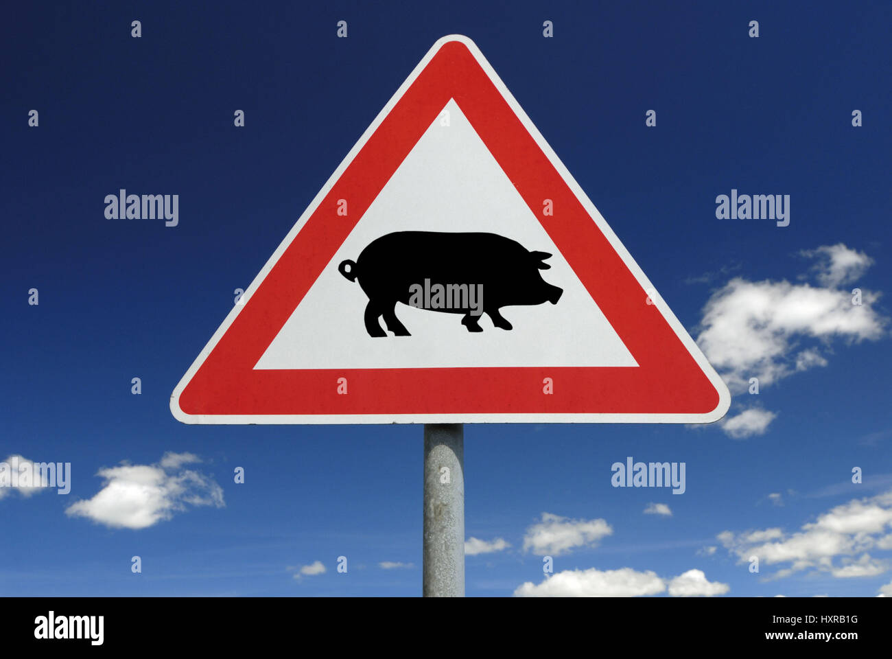 Traffic signs pork influenza (assembly), Verkehrszeichen Schweinegrippe (Montage) Stock Photo
