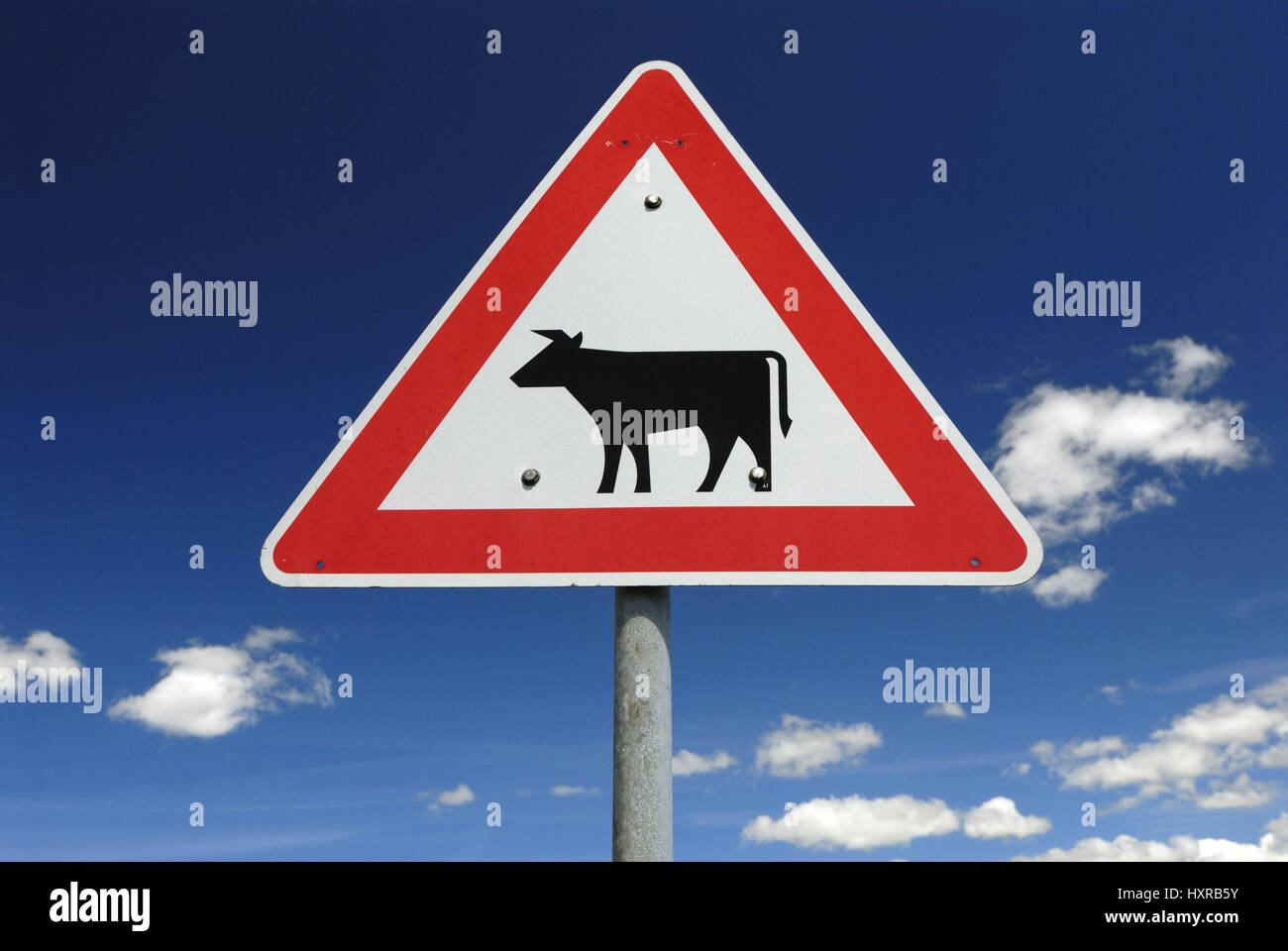 'Traffic signs ''cattle desire'' in old narrow nurse, Hamburg, Germany', Verkehrszeichen 'Viehtrieb' in Altengamme, Deutschland Stock Photo