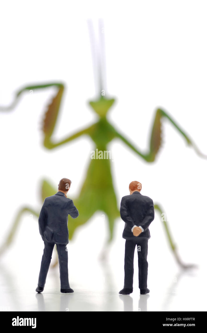 Businessmen before grasshopper, symbolic photo Hedge fund, Geschäftsmänner vor Heuschrecke, Symbolfoto Hedge-Fonds Stock Photo