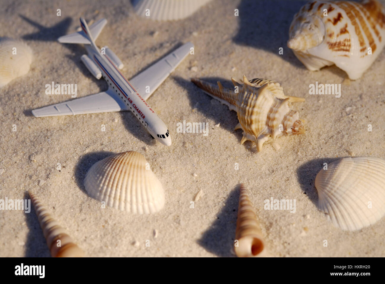 Vacation, holidays, book, reservation, beach, beach vacation, flight