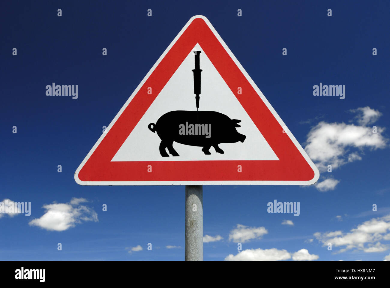 Traffic signs vaccination against pork influenza (assembly), Verkehrszeichen Impfung gegen Schweinegrippe (Montage) Stock Photo