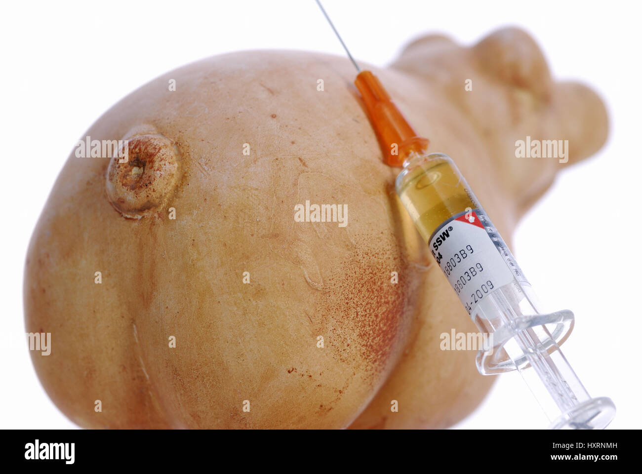 Pig and vaccination syringe, vaccination against the pork influenza, Schwein und Impfspritze, Impfung gegen die Schweinegrippe Stock Photo