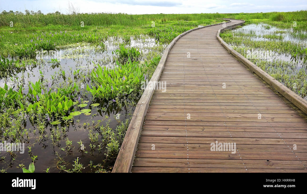 Boardwalk curves through  a marsh and wetlands along Pintail Wildlife Drive at Cameron Prairie National Wildlife Refuge in Louisiana Stock Photo