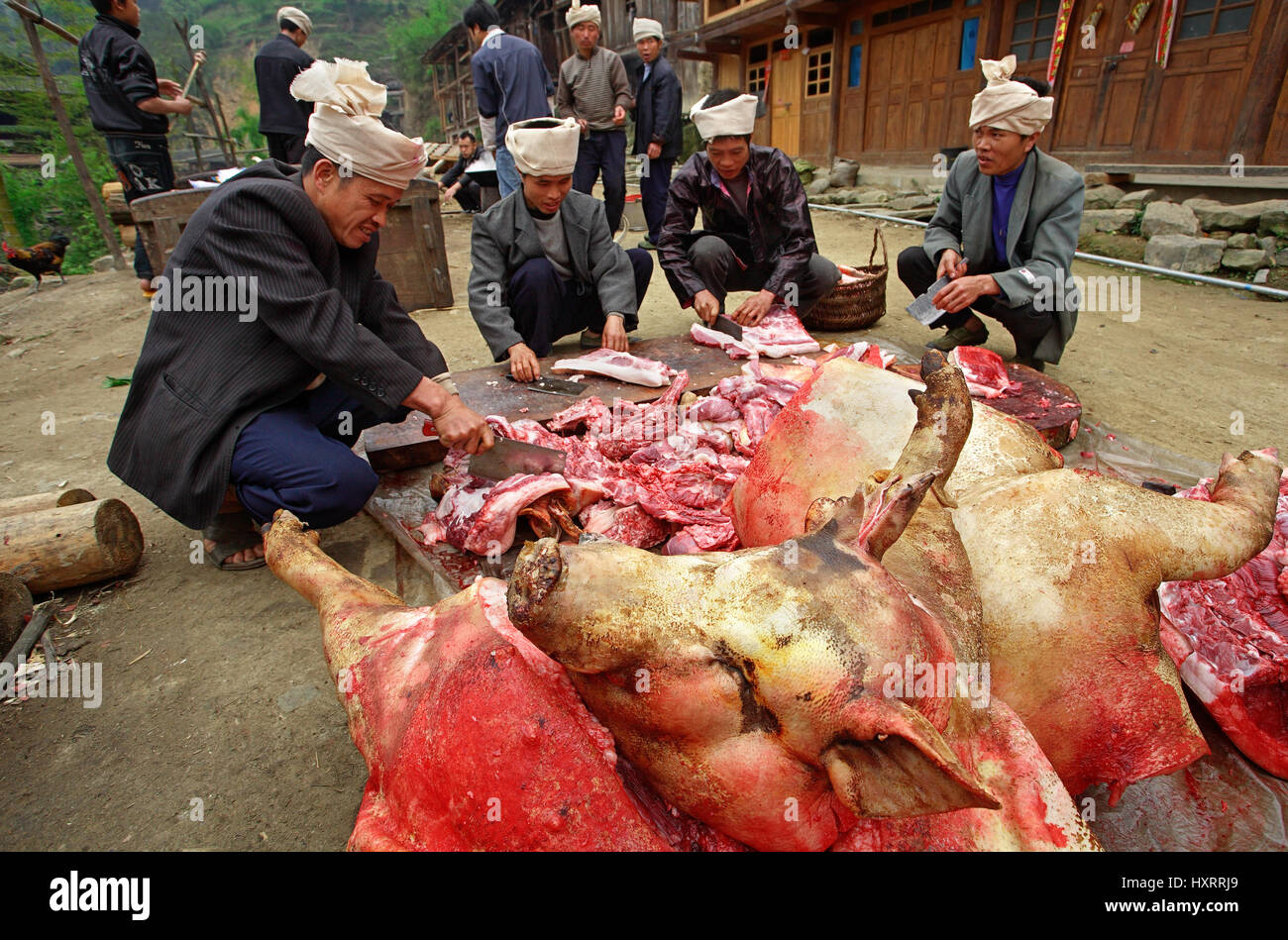 Zengchong village, Guizhou, China - April 12, 2010: Asian farmers are pig producers, butchered pig carcasses on the road, in the Chinese village of et Stock Photo