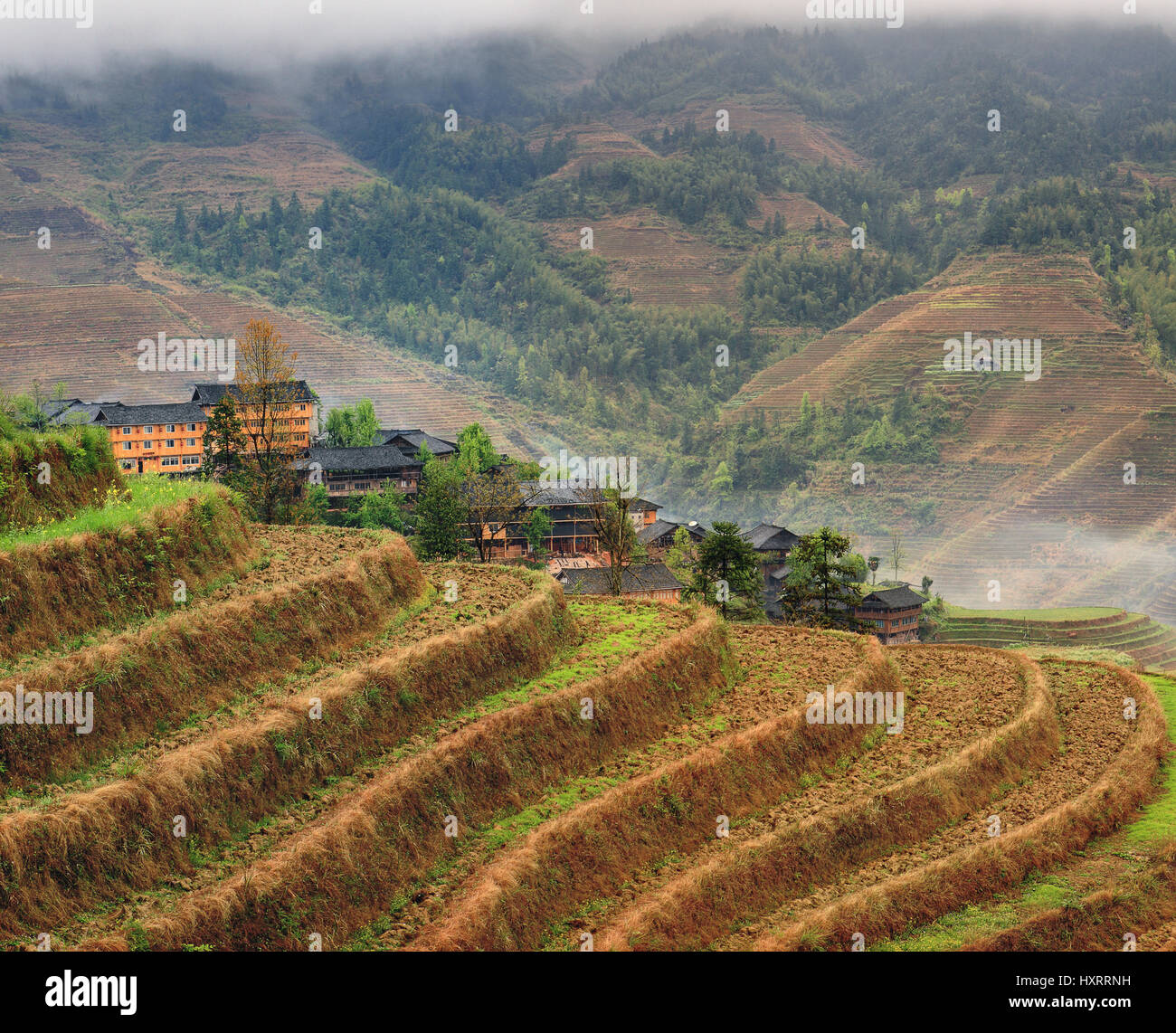 Yao Village Dazhai, Longsheng, near the town of Guilin, Guangxi Province, China - April 5, 2010: Hillside rice terraces, rice fields in the highlands  Stock Photo