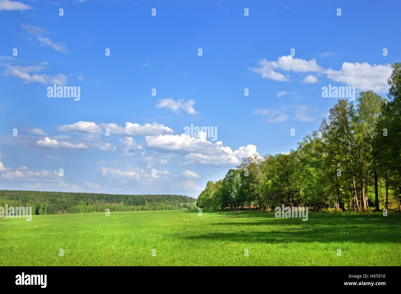 Green fields and forests under a blue sky with white clouds Stock Photo ...