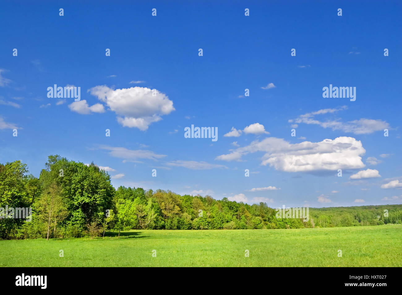 Green fields and forests under a blue sky with white clouds Stock Photo ...