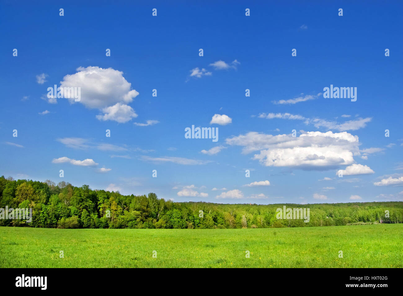 Green fields and forests under a blue sky with white clouds Stock Photo ...