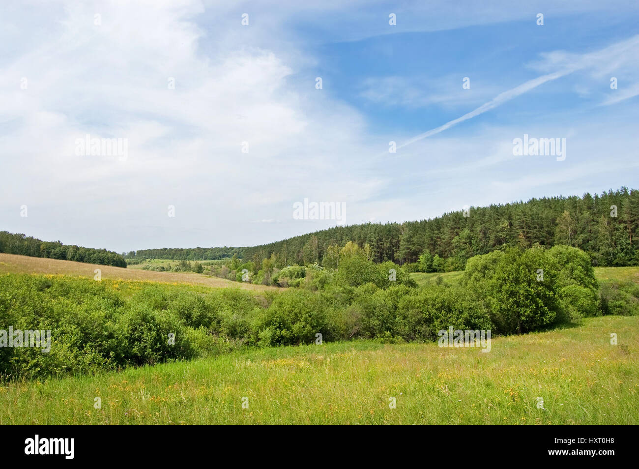 Green fields and forests under a blue sky with white clouds Stock Photo ...