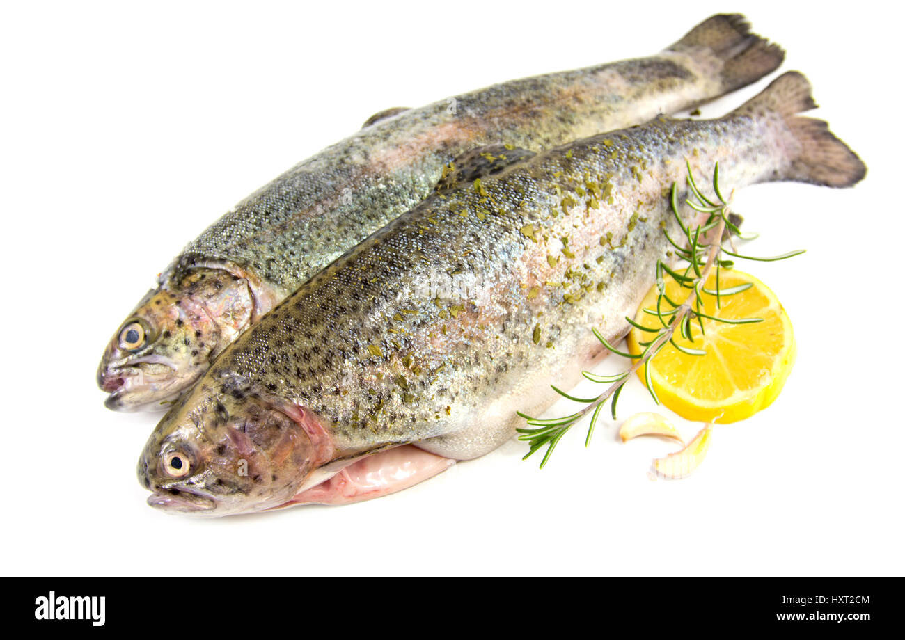 uncooked seasoned trout on white background with lemon and rosemary Stock Photo