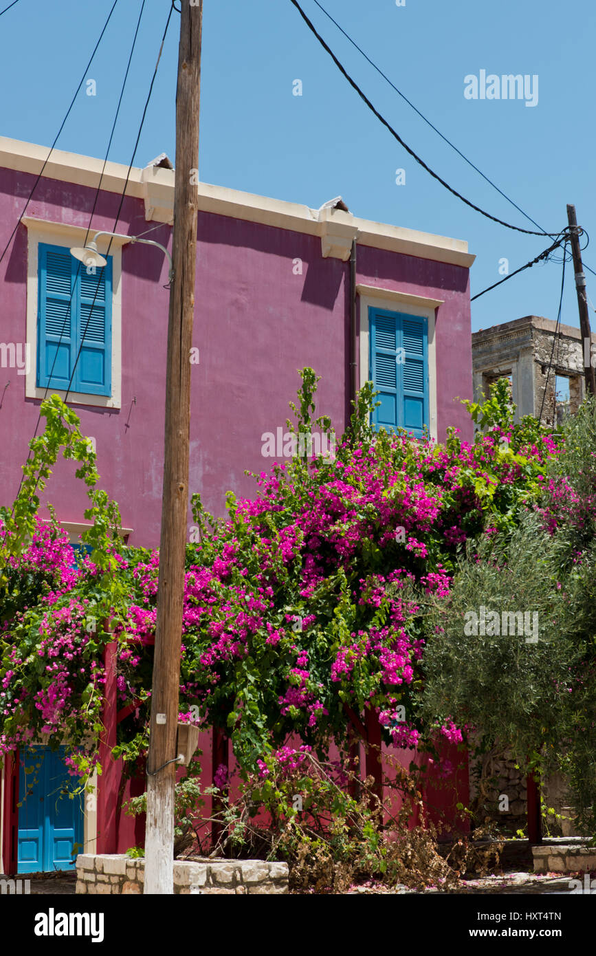 Rosa Bougainvillea vor roter Hauswand mit blauen Fensterläden und Leitungsmasten, Insel Kastellorizo, Dodekanes, Griechenland Stock Photo