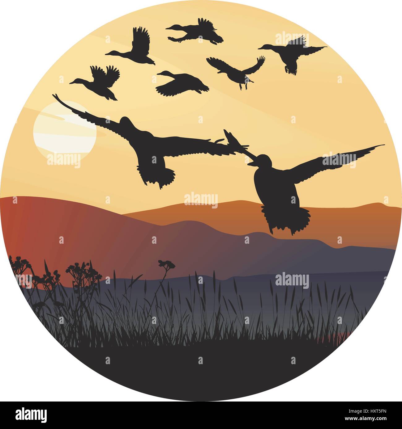 Mallard ducks at sunrise and hilly landscape Stock Vector