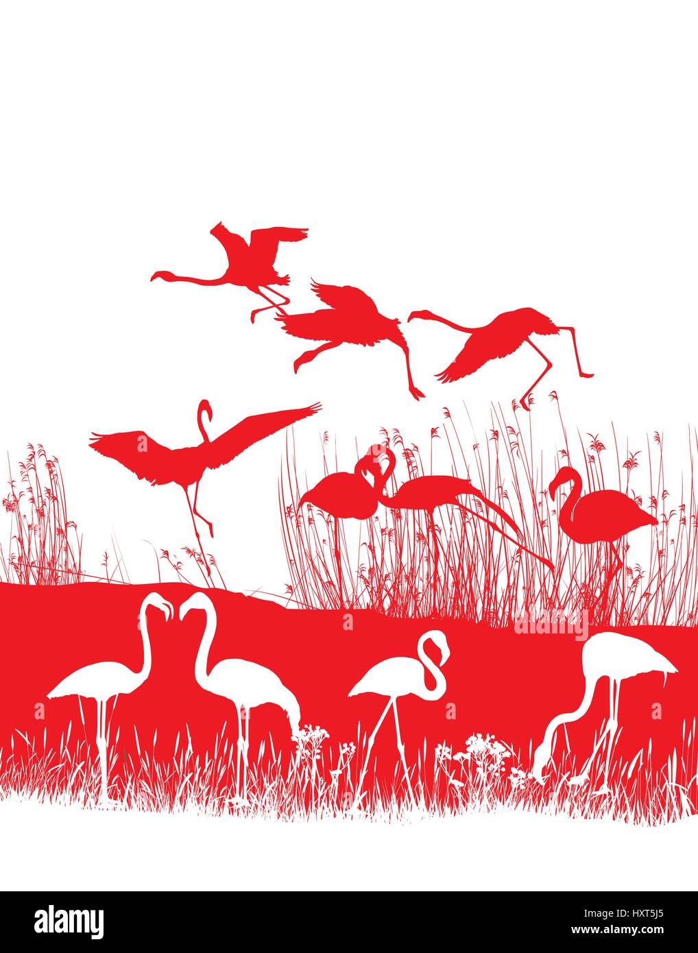 Red flamingos on the shore Stock Vector