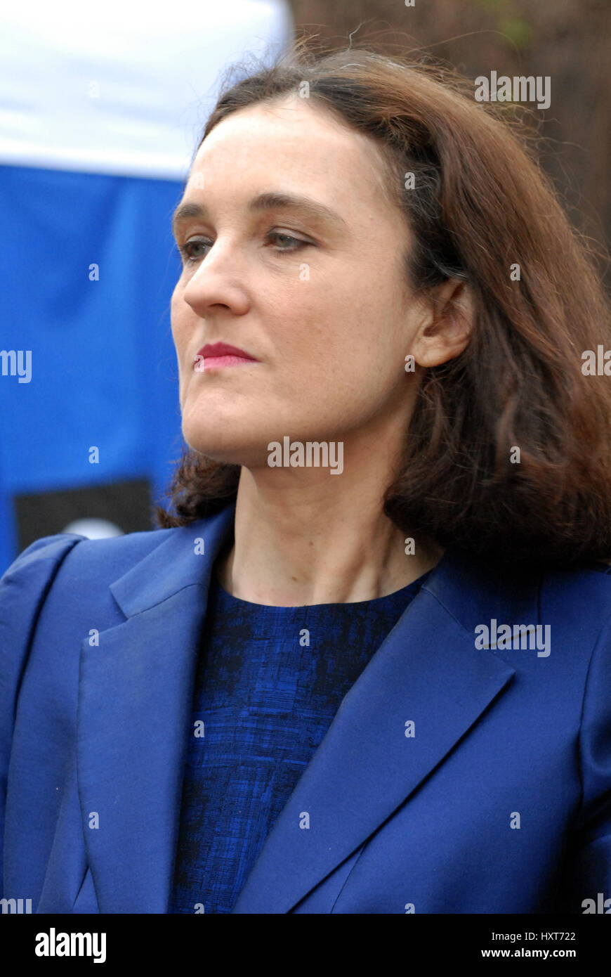 London, UK. 29th Mar, 2017. Theresa De Villiersl outside the Houses of Parliament on day of Article 50 withdrawing the UK from the EU sent to Brussels. Credit: JOHNNY ARMSTEAD/Alamy Live News Stock Photo