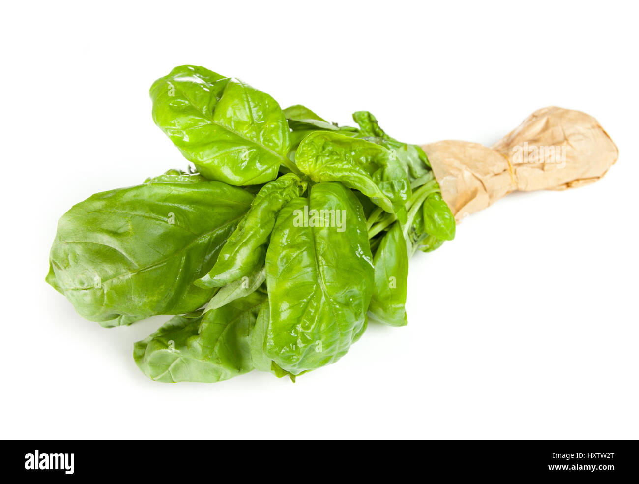 Basil bunch with paper isolated on white background Stock Photo - Alamy
