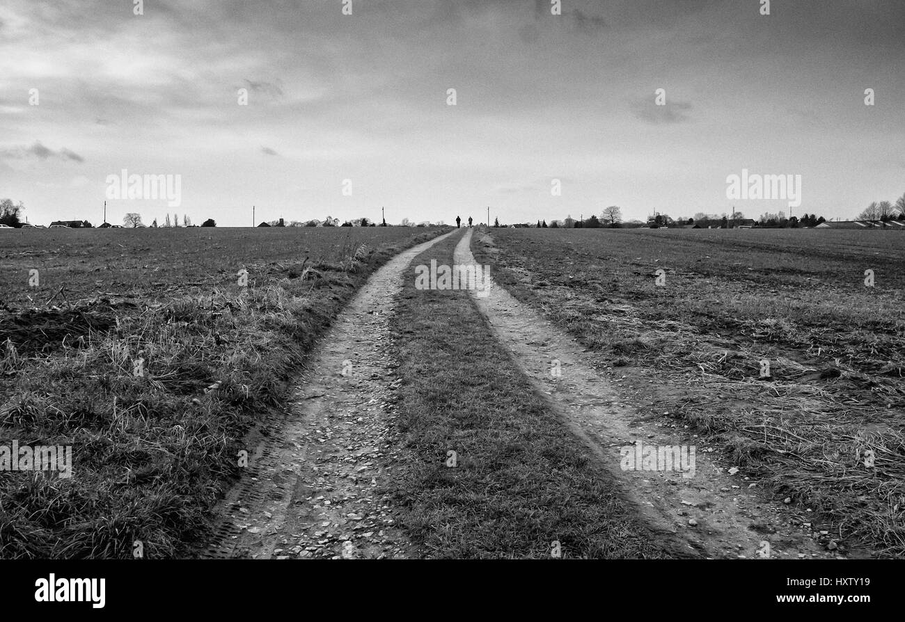 Grass field Black and White Stock Photos & Images - Alamy
