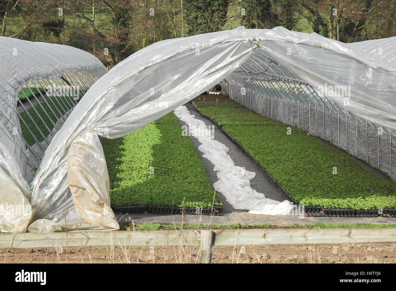 Plastic Tunnel High Resolution Stock Photography and Images - Alamy