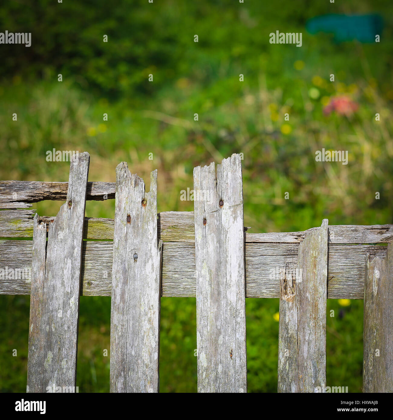 Old weathered broken wooden fence background, copy space Stock Photo