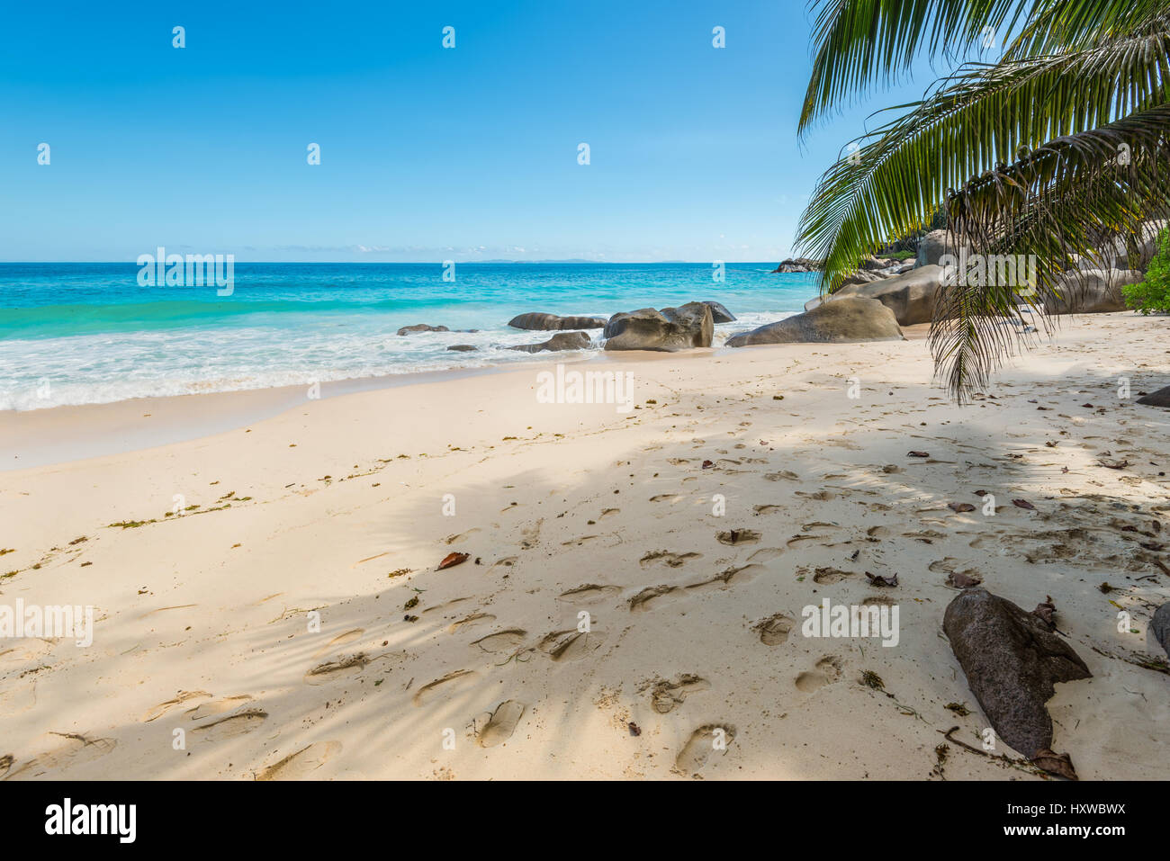 Spectacular Carana Beach on the Northern end of Mahe Island, Seychelles. Beautiful sunny beach. View of nice tropical beach with palms around. Holiday Stock Photo