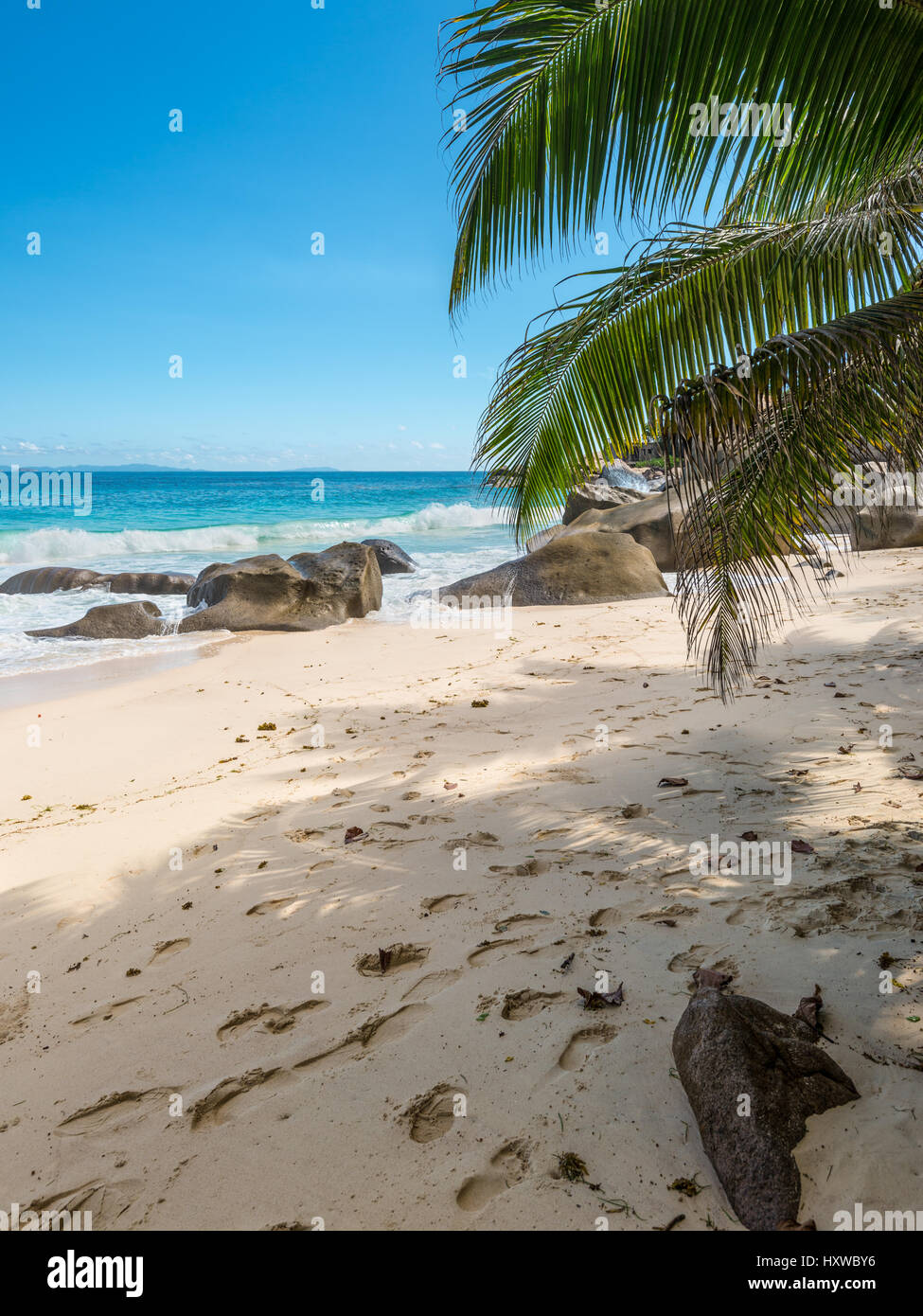 Spectacular Carana Beach on the Northern end of Mahe Island, Seychelles. Beautiful sunny beach. View of nice tropical beach with palms around. Holiday Stock Photo