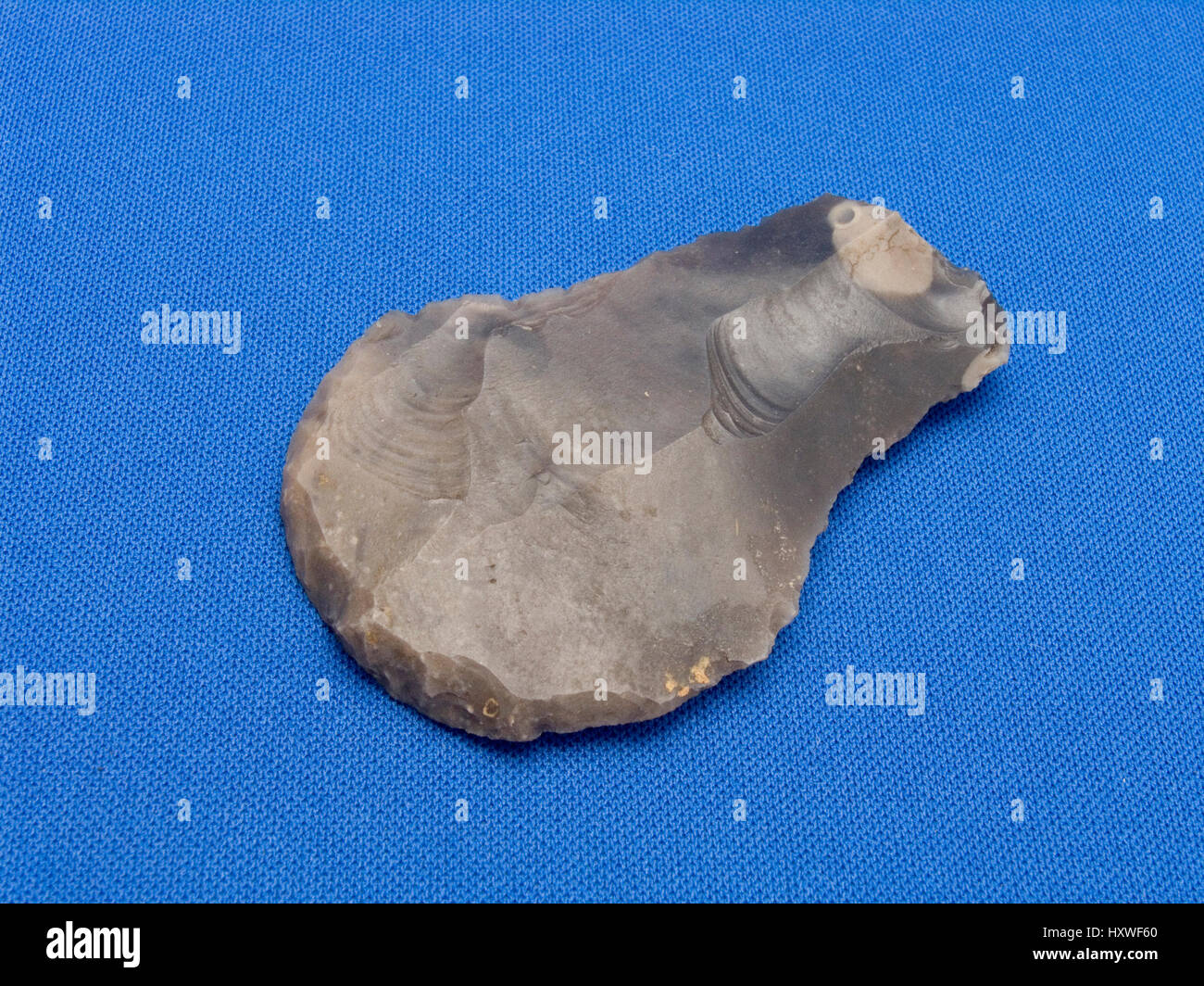 Neolithic Flint Scraper Stock Photo