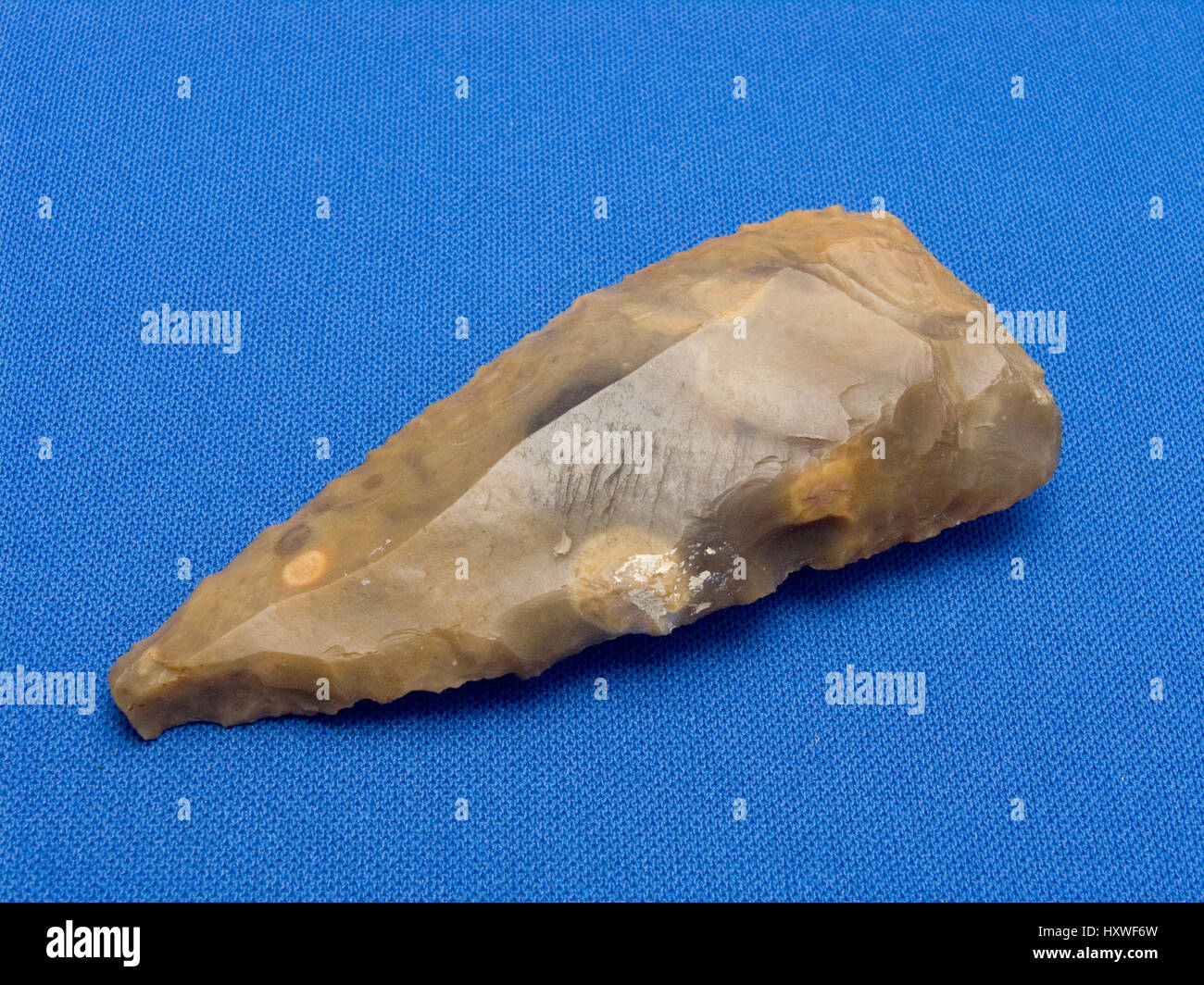 Neolithic Flint Scraper Stock Photo