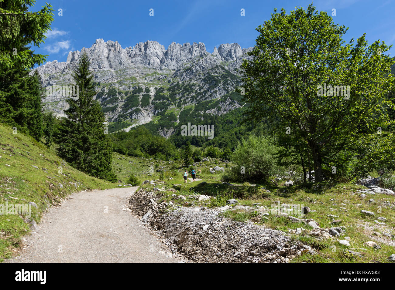 Summer mountains landscape. Hiking in the Alps, Kaiser Mountains,  Austria, Tyrol Stock Photo