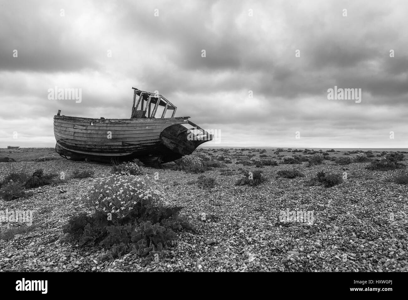 Fishing boat abandoned on the shingle beach at Dungeness, Kent, England ...